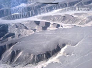 Bird of Nazca Lines Peru