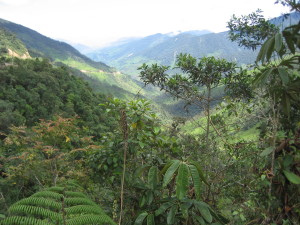 On the Road to Vilcabamba Ecuador