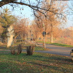 arad romania