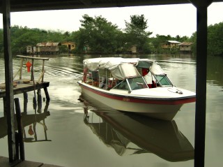 Almirante panama
