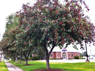 Bangor, maine