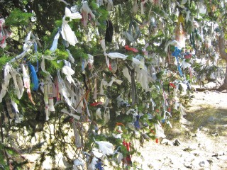 tree of wishes