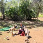 rockhampton zoo