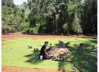 rockhampton zoo