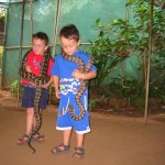 rockhampton zoo