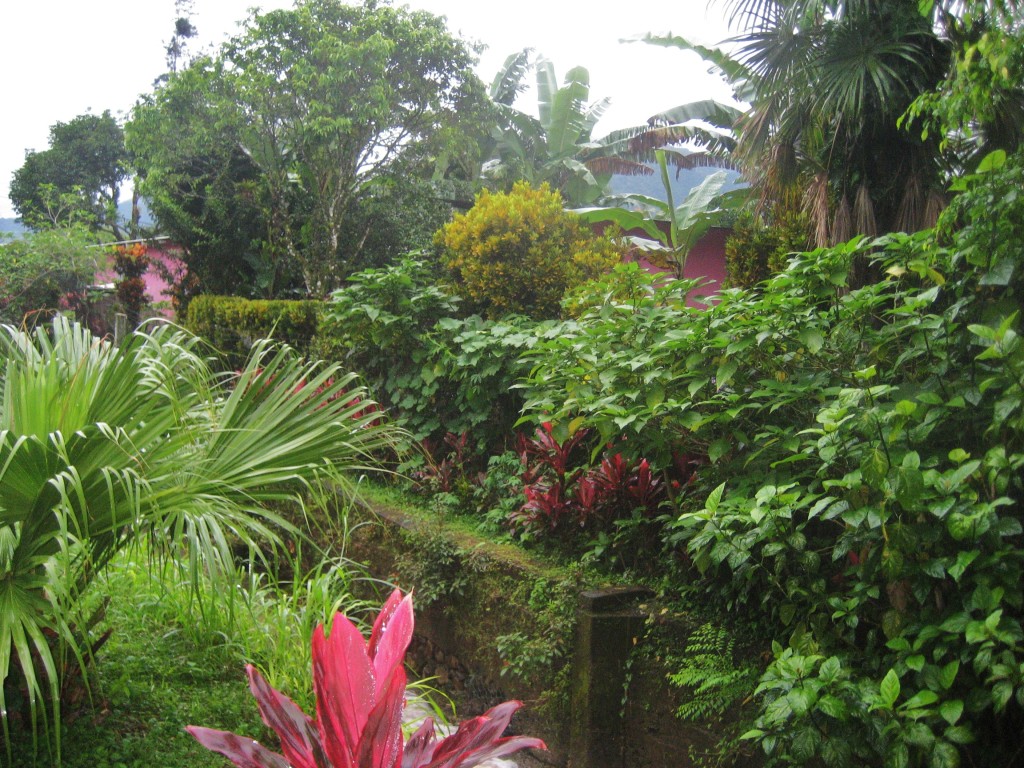 El Valle El Valle