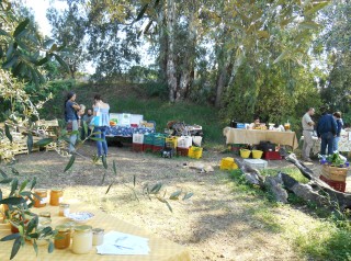Saturday Farmer's Market near Catania Sicily
