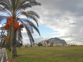 Palermo