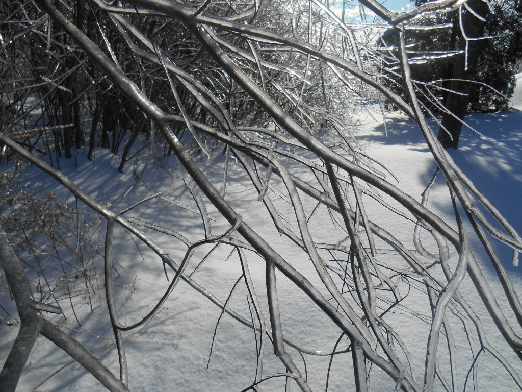 Frozen Bangor, ME
