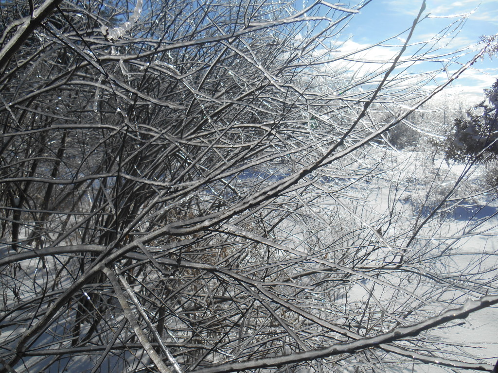 Frozen Bangor, ME