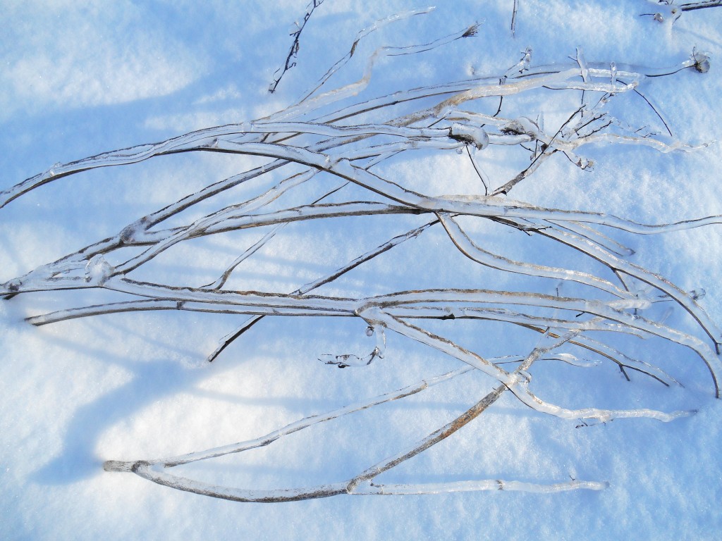 Frozen Bangor, ME