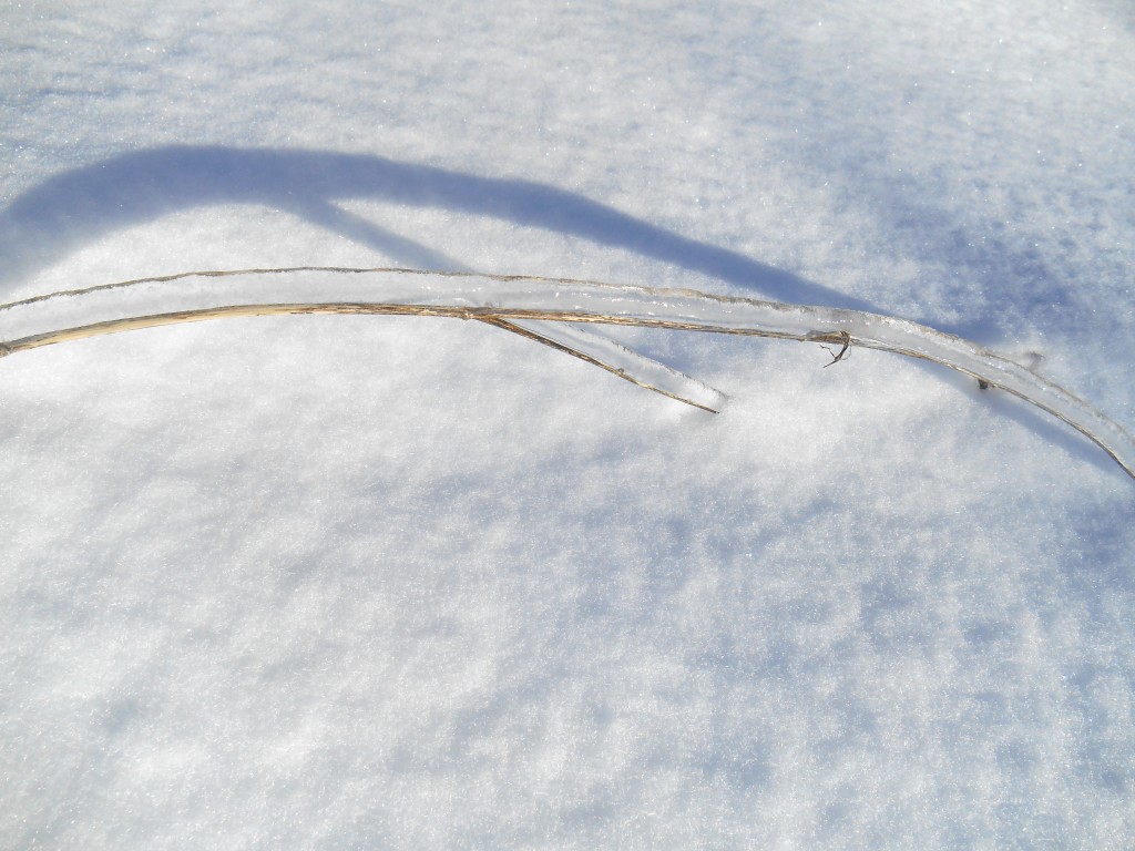 Frozen Bangor, ME