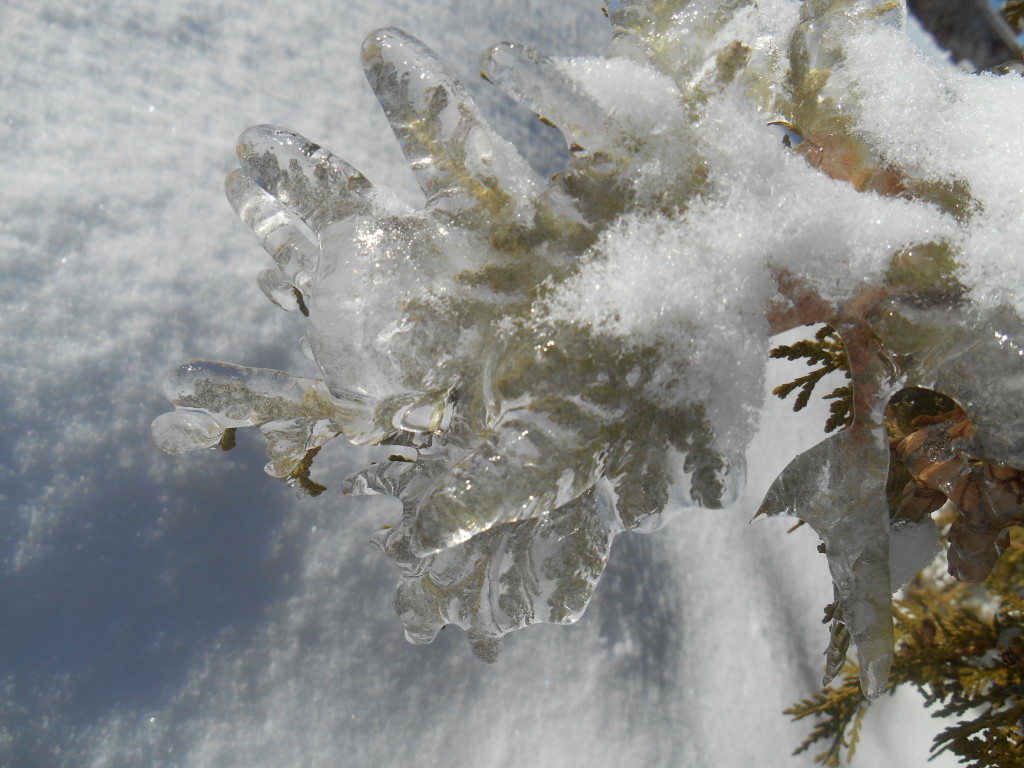 Frozen Bangor, ME