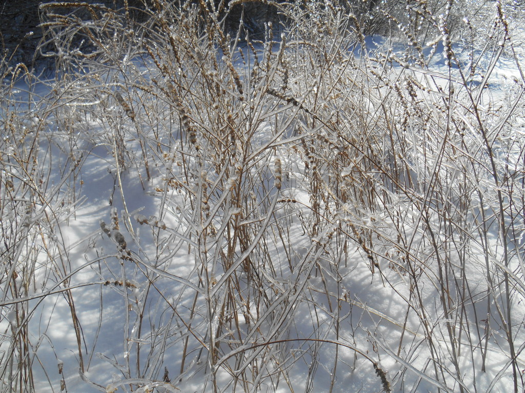 Frozen Bangor, ME