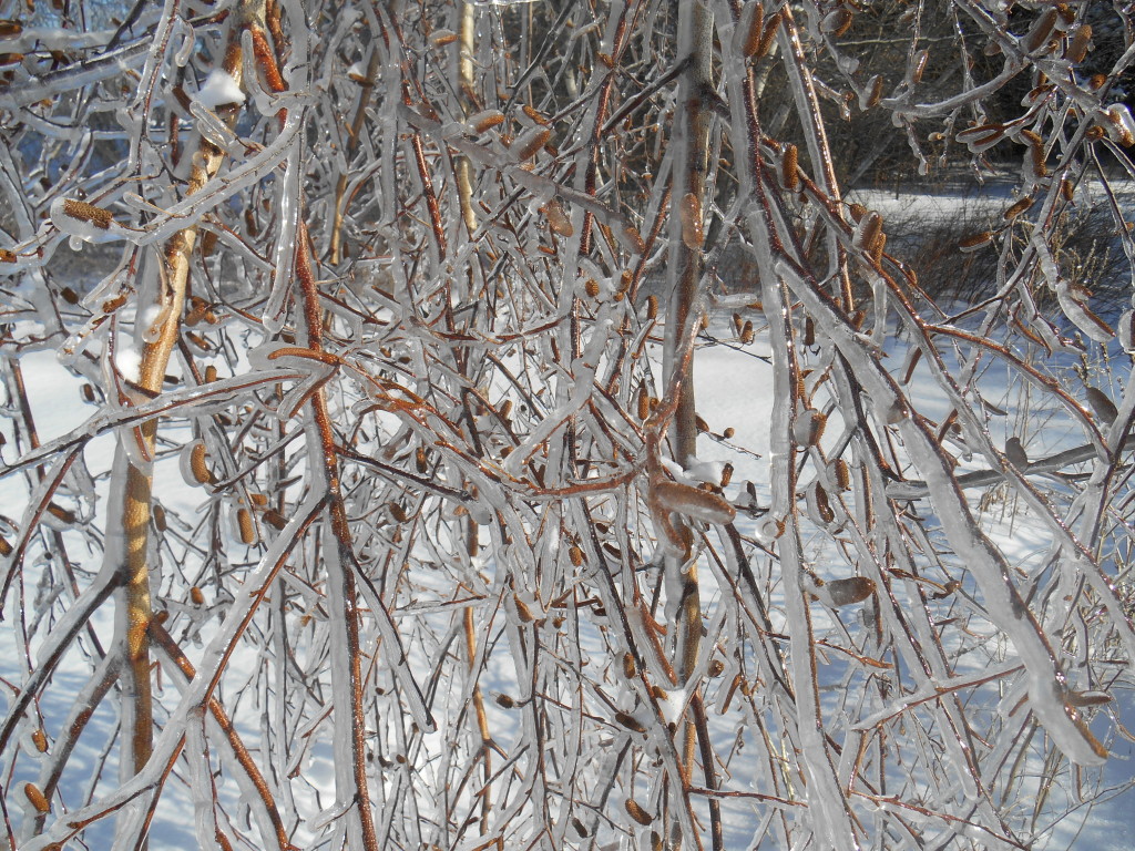 Frozen Bangor, ME
