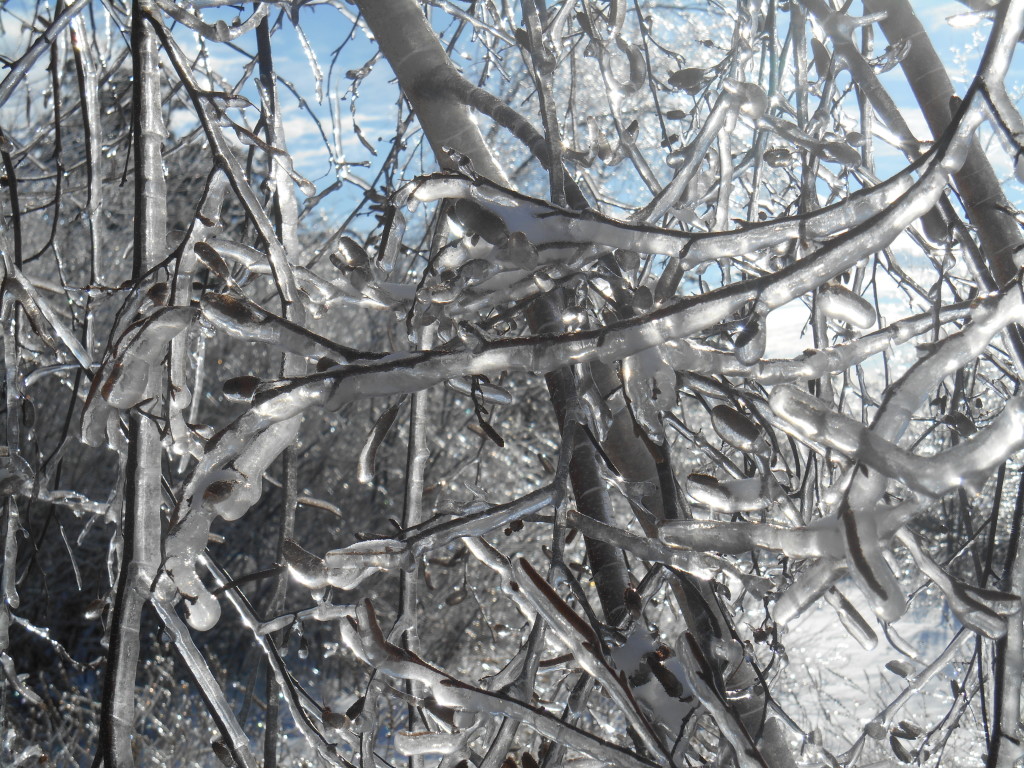 Frozen Bangor, ME