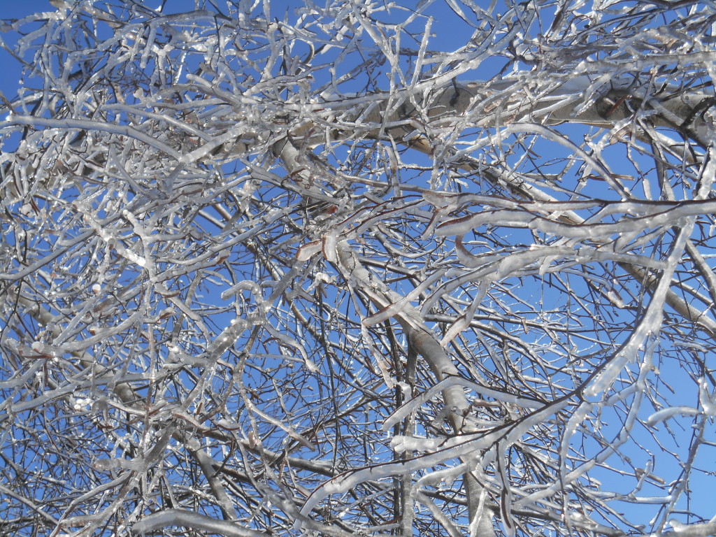 Frozen Bangor, ME