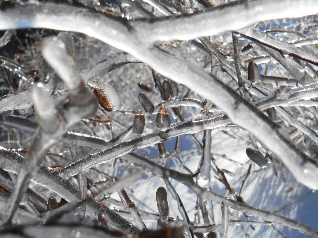 Frozen Bangor, ME