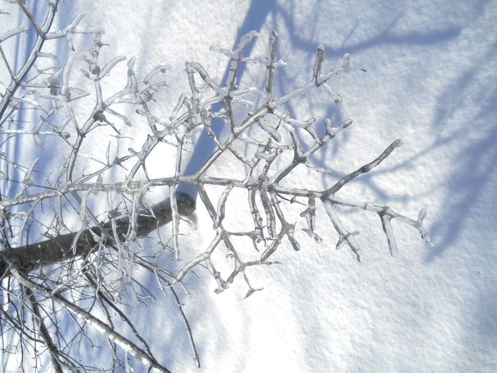 Frozen Bangor, ME