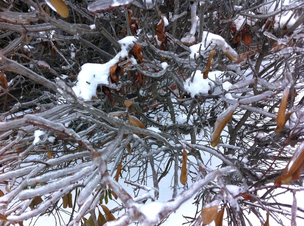 Frozen Bangor, ME
