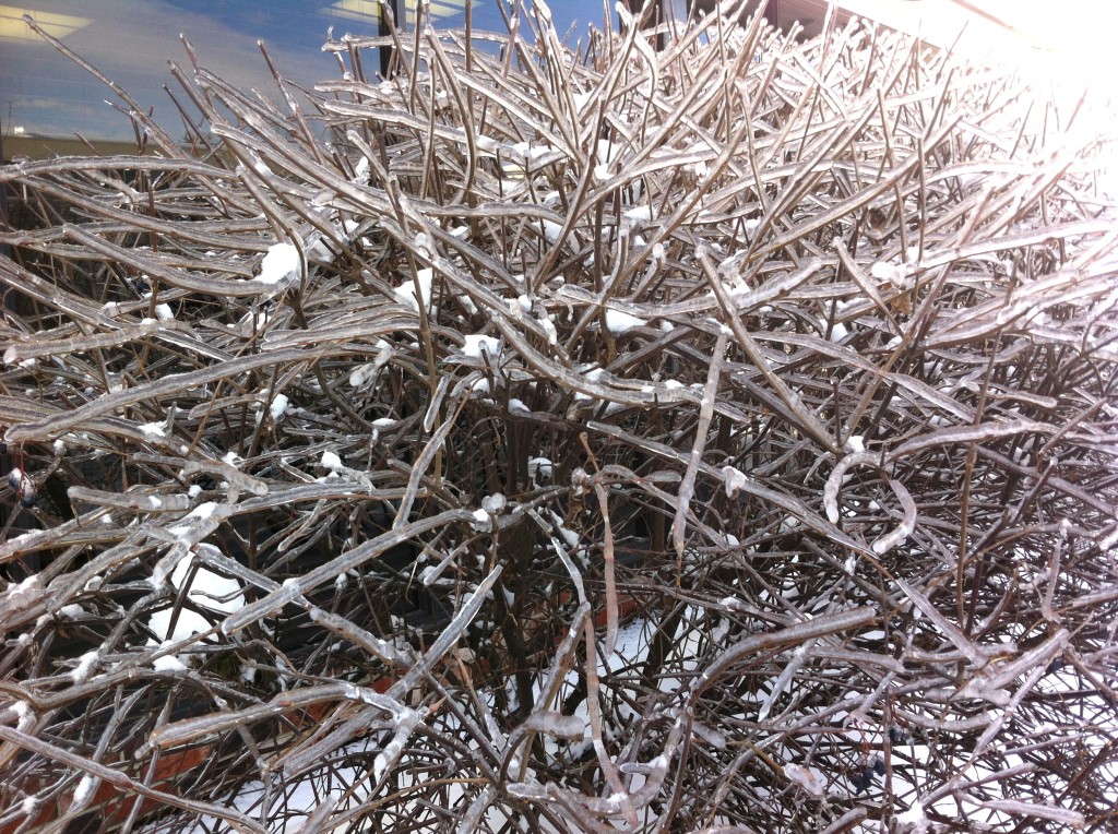 Frozen Bangor, ME