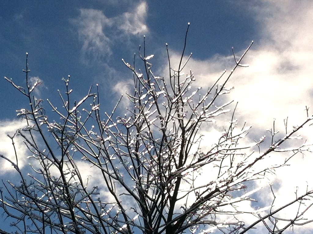 Frozen Bangor, ME