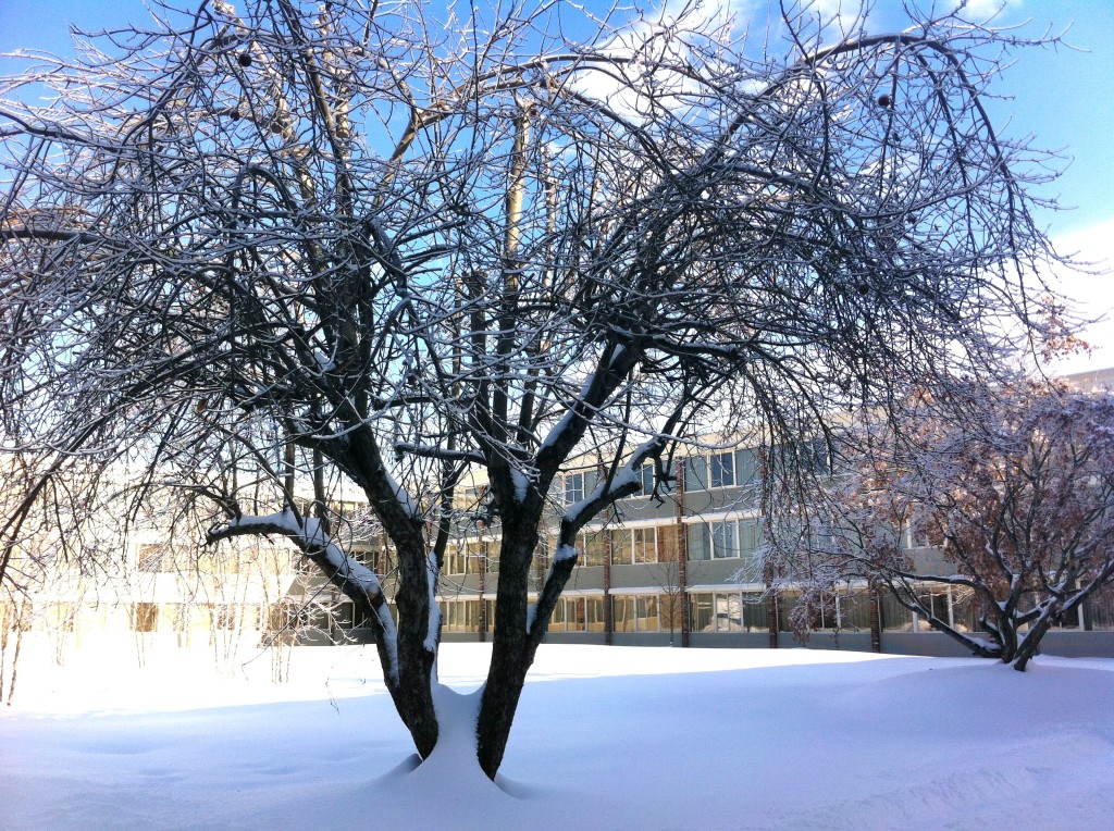 Frozen Bangor, ME