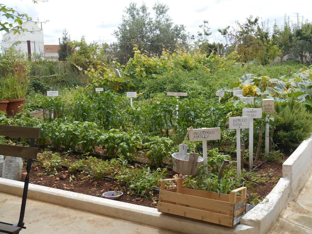 Alberobello, Puglia, restaurant's garden