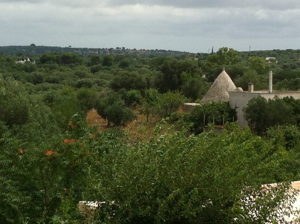 Picture of trulli, from the roof of Masseria Genovese