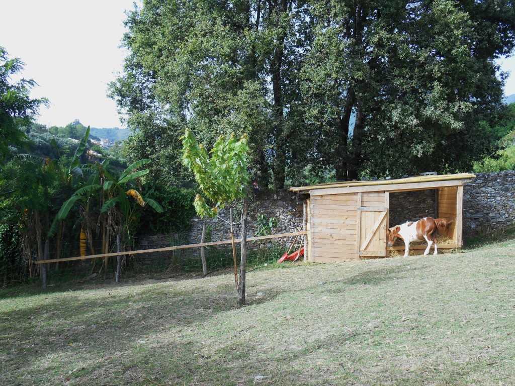 Animals at Agriturismo L'Arca