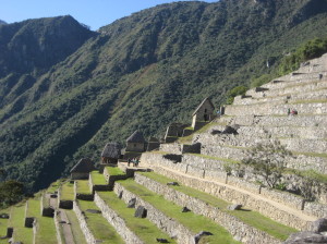 Terraced Hillside of Machu Picchu