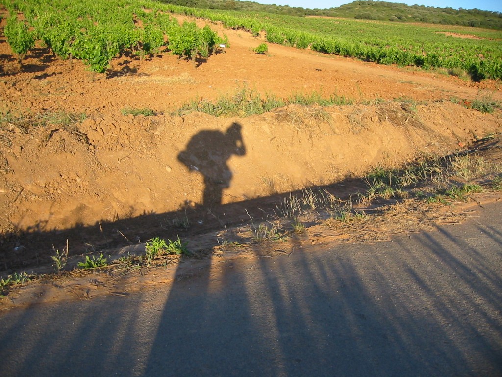 Miha's shadow along the Camino