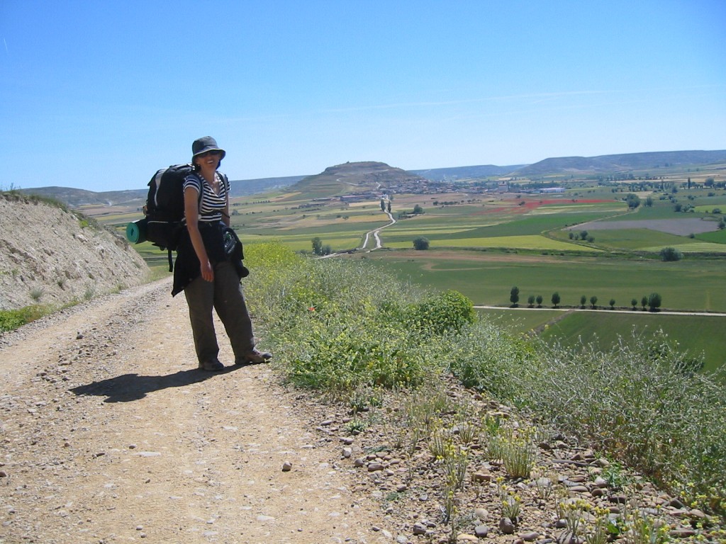 el camino de santiago spain