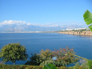 turkey