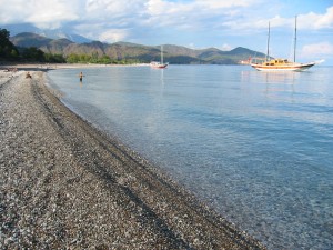 turkey