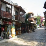 turkey
