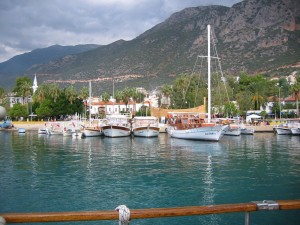 turkey