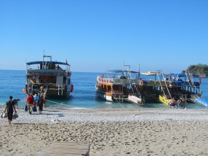 turkey