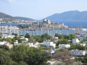 turkey