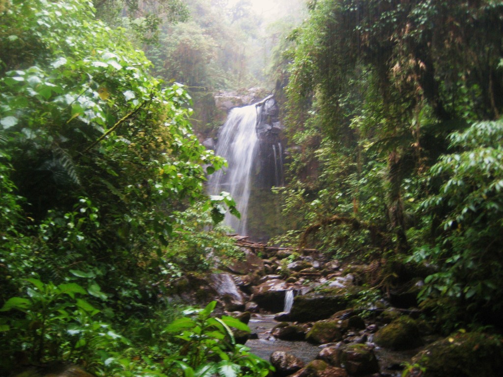Boquete panama
