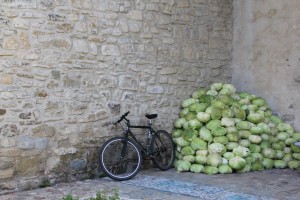 Nun's Cabbage Sucevița Romanian Monasteries