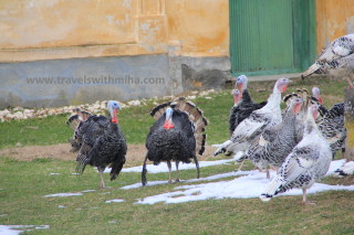Christmas in Romania