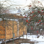 Christmas in Romania