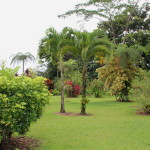Volcano Lodge Arenal Costa Rica