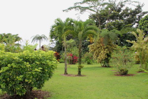 Volcano Lodge Arenal Costa Rica