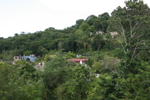 Hills in Jamaica