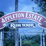 Appleton Estate Tour Jamaica