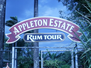 Appleton Estate Tour Jamaica