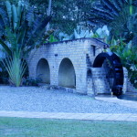 Jamaica Waterwheel
