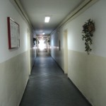 Timișoara